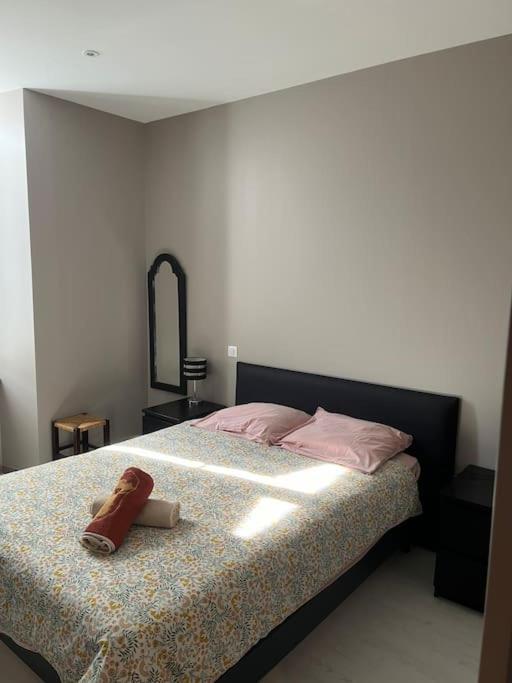 Superbe Appartement Plein Centre Millau Exterior foto